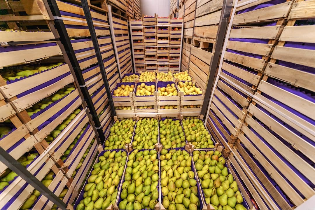 Gıda Güvenliği ve Soğuk Zincir Yönetimi